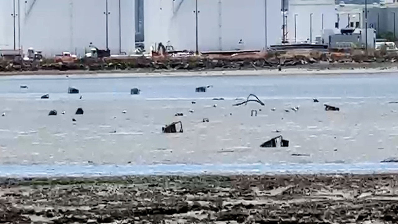 Dozens of apparent shopping carts stuck in marsh along San Francisco Bay: 'How did they get there?!'