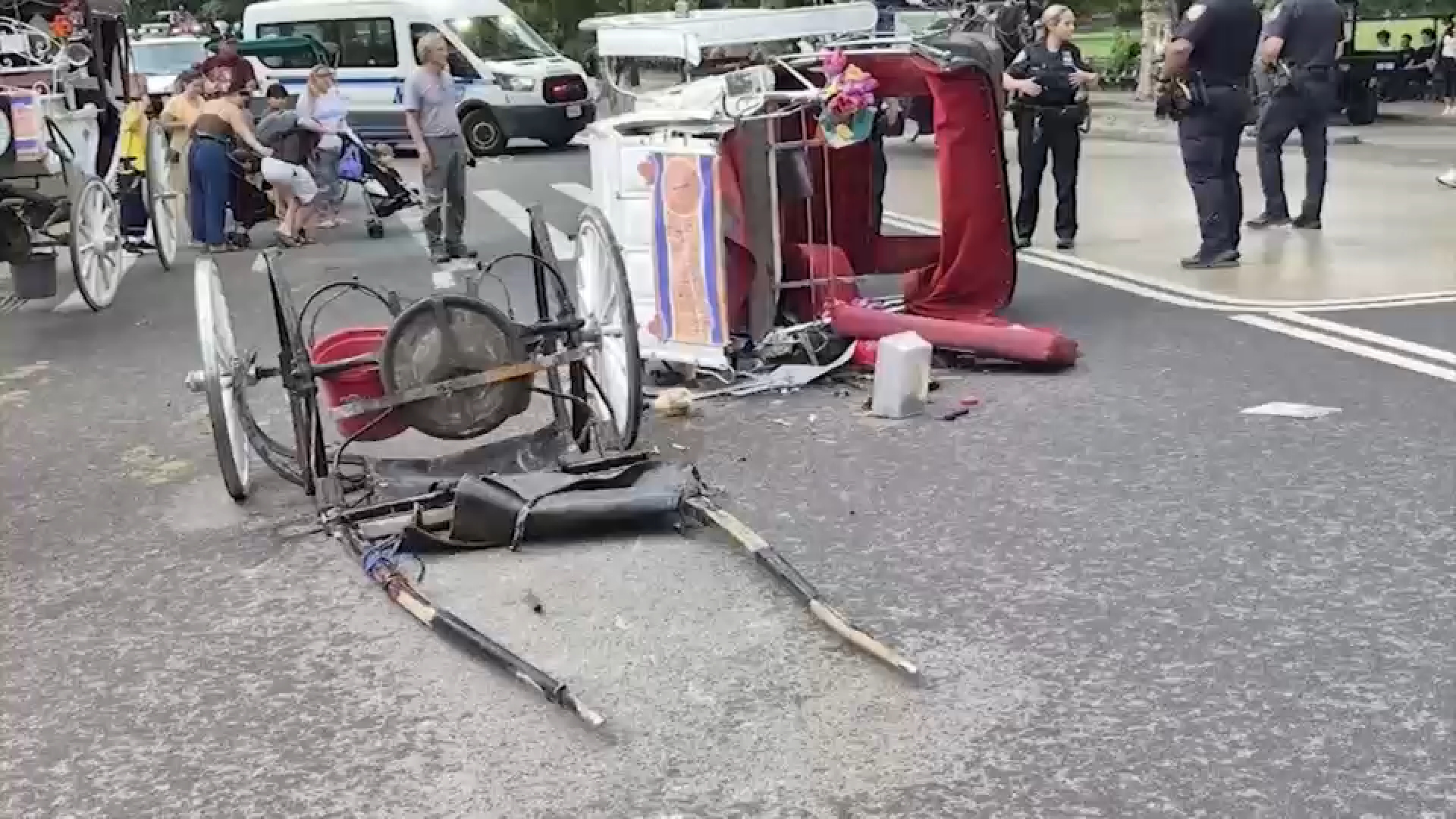 Horse-drawn carriage rides paused in Central Park after 18-year-old tourist killed