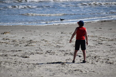 Galveston officials remined beachgoers to stay safe ahead of Fourth of July weekend