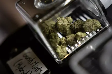 Texas rule targeting smokable hemp is back in effect, but enforcement is unclear