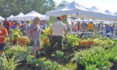 29th annual Woodlands Landscaping Solutions set for September 26
