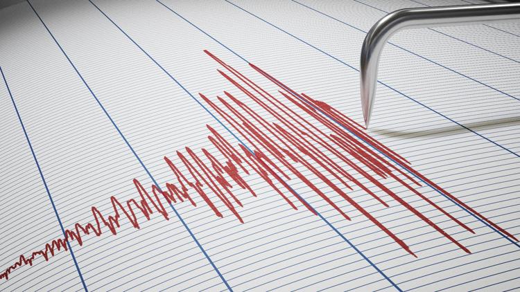 Big Island of Hawaii shook by minor earthquake, no risk of tsunami