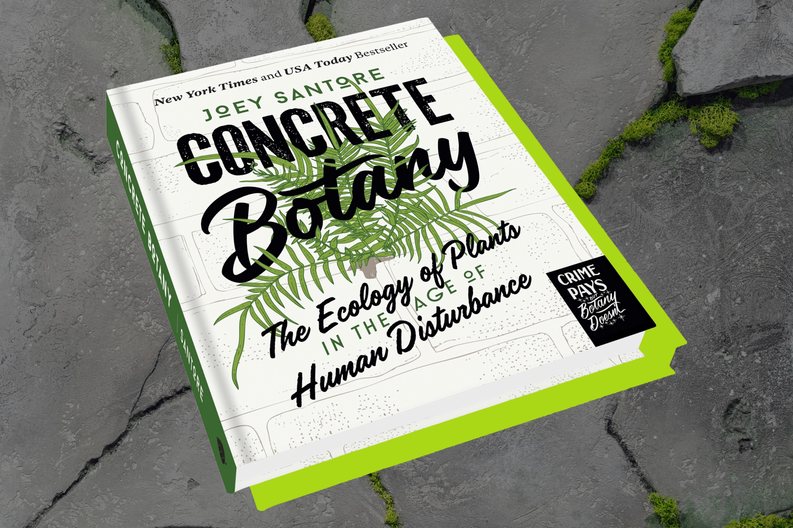 'Concrete Botany' aims to open our eyes to the plants that grow in the margins