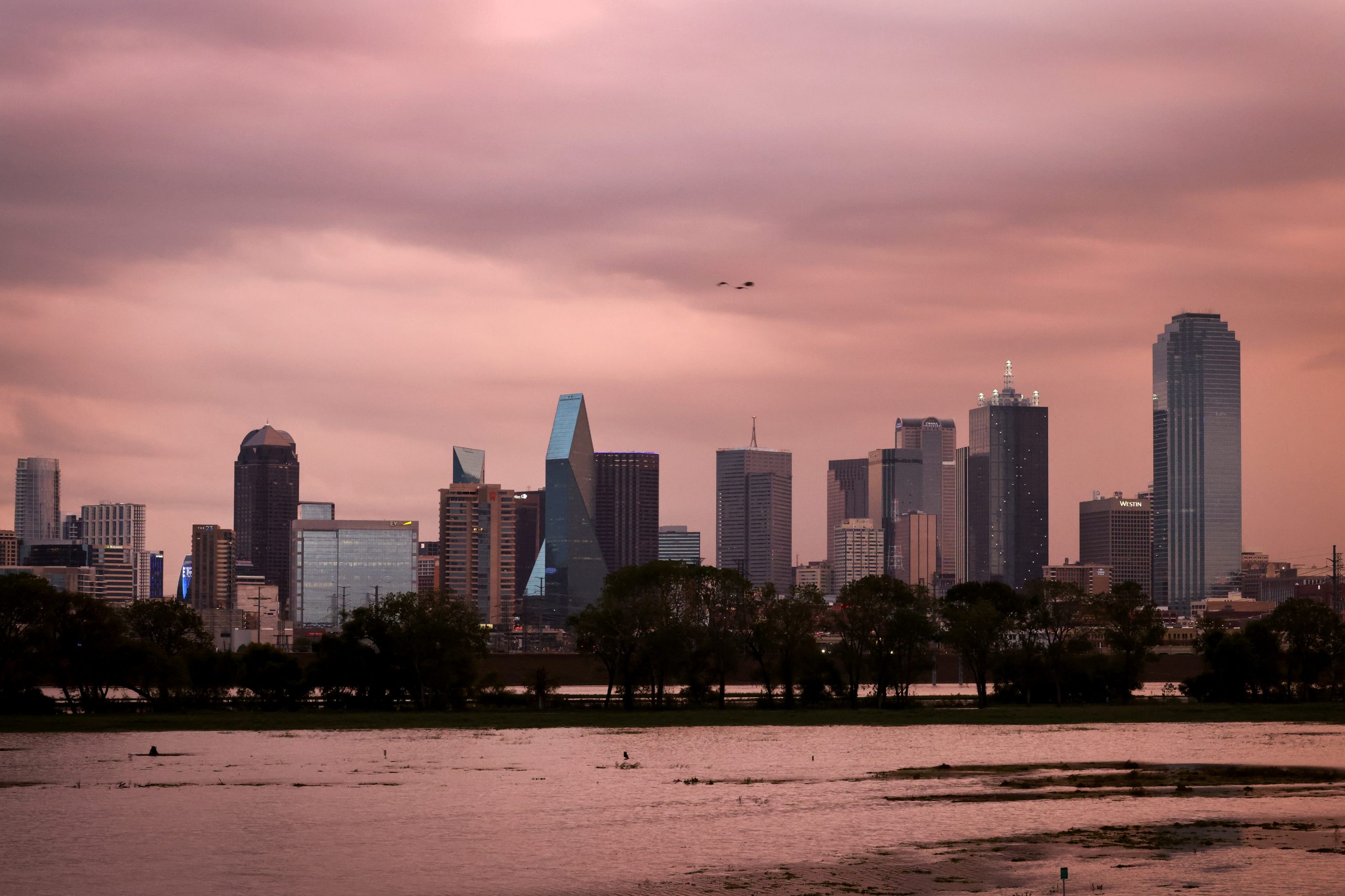 'The Dallas Way' charts history of how an LGBTQ community came to thrive in a conservative city