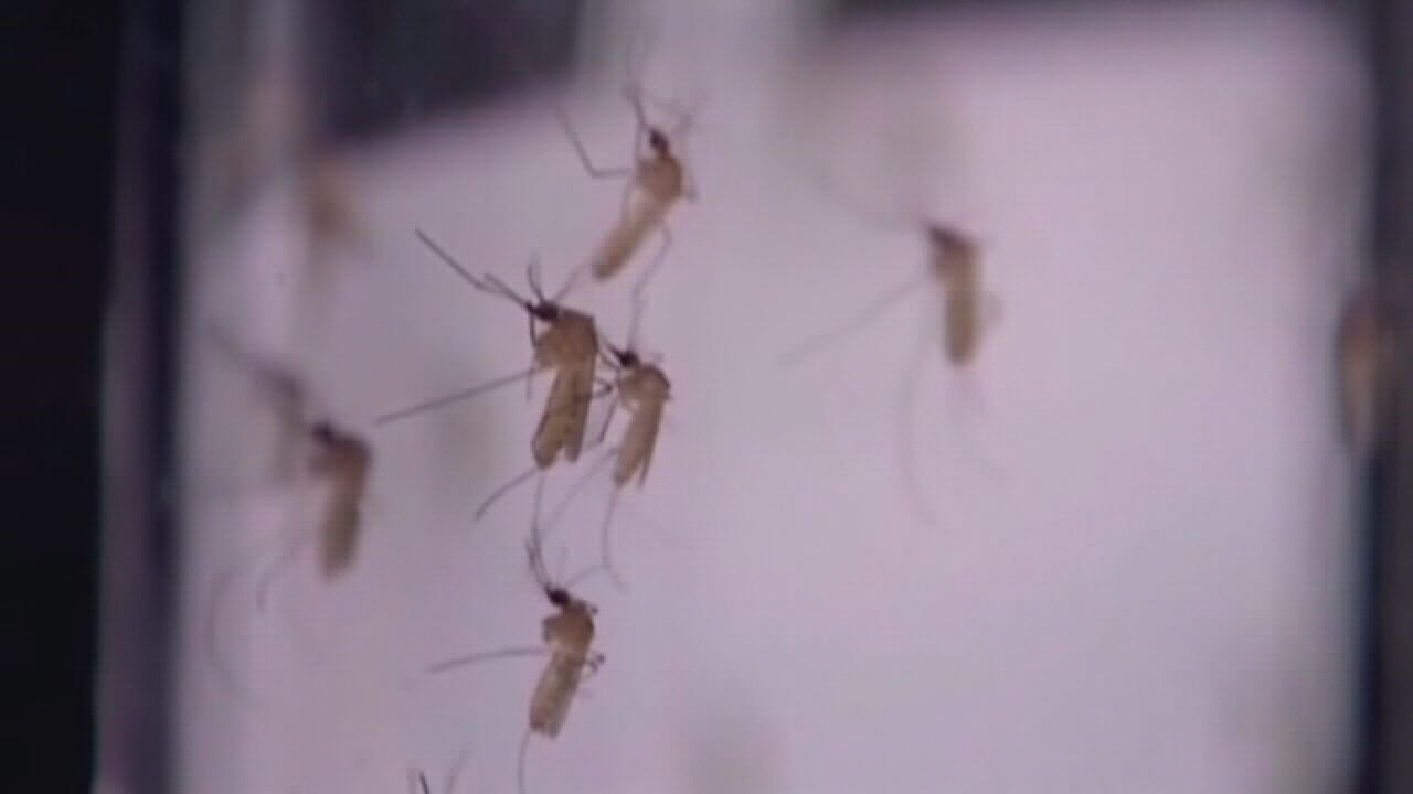 Fort Bend County confirms first human case of West Nile Virus in 2026