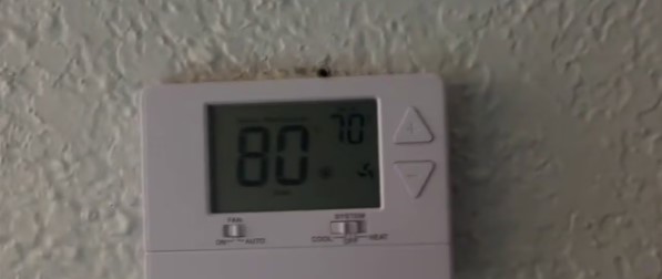 Bay City tenants report A/C, pest problems at Palm Village Apartments