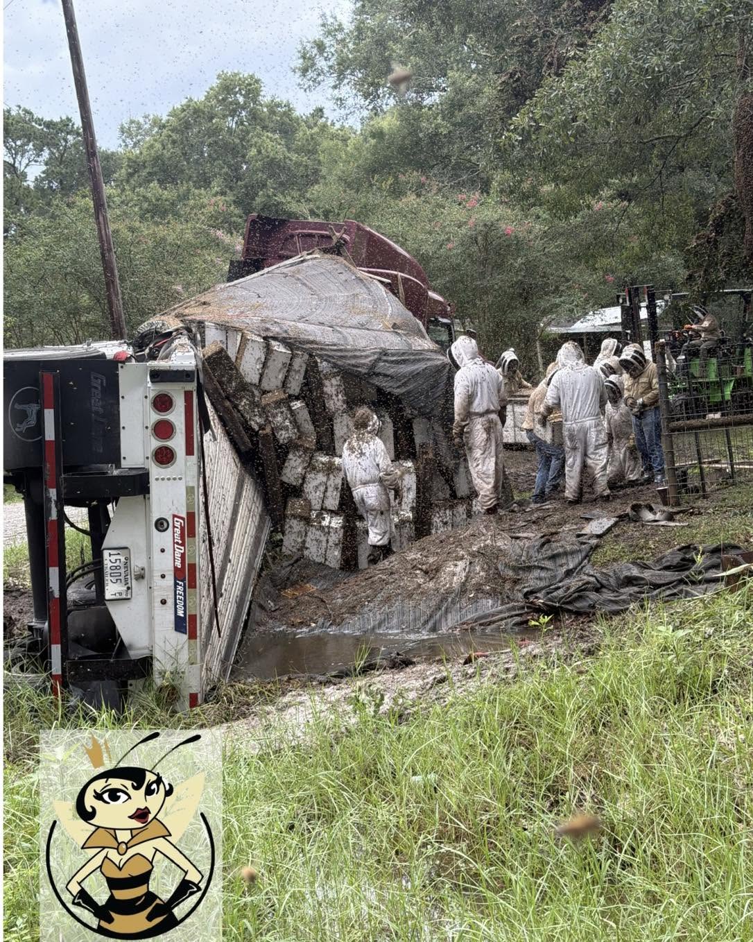 Overturned 18-wheeler releases at least 24 million honeybees, forcing Texas neighborhood lockdown