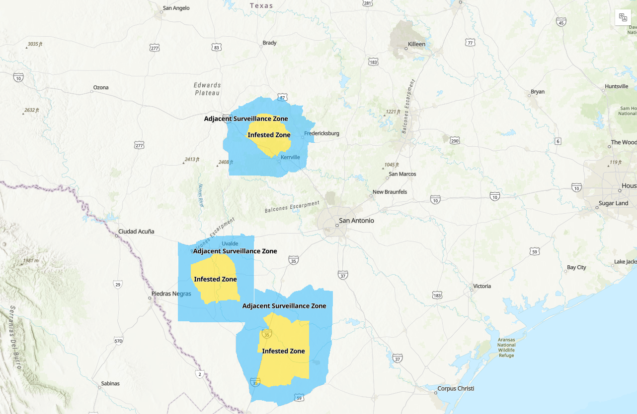 TRACK: Map shows where screwworm cases are in Texas