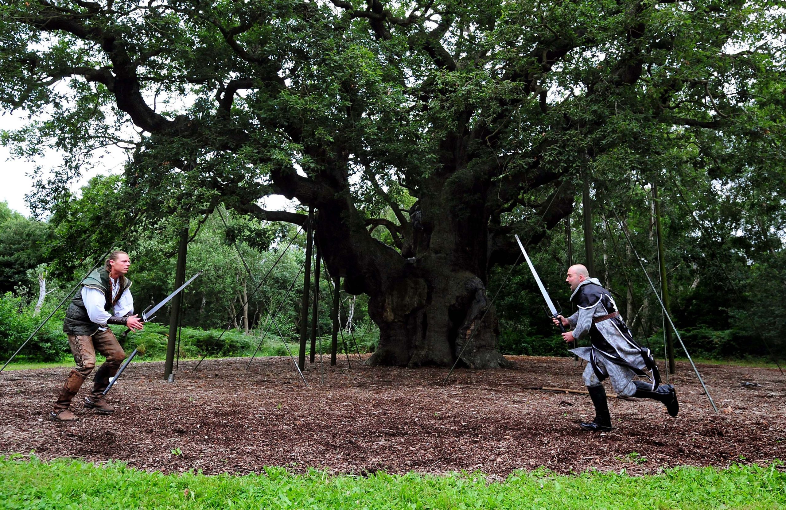 1,200-year-old 'Robin Hood' oak tree has died, experts say