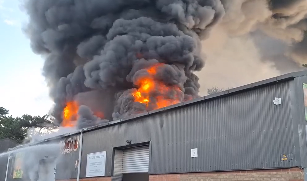 Fire destroys mini-zoo, killing all animals inside