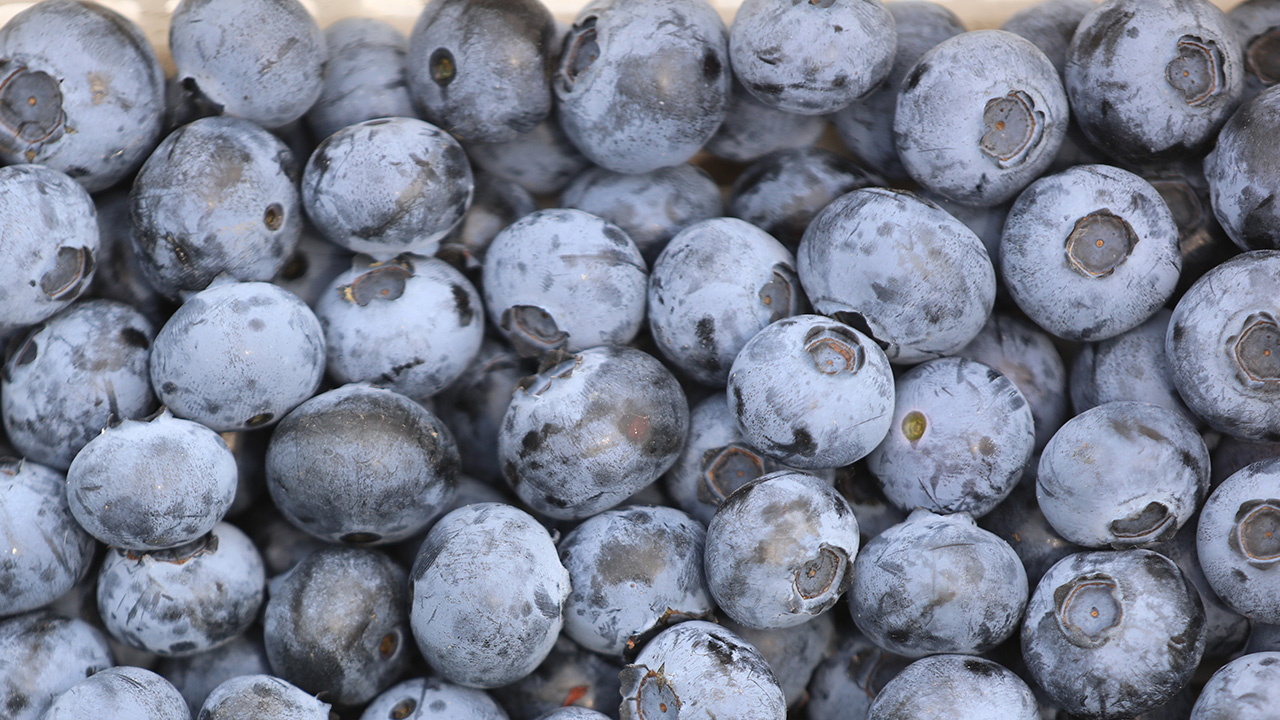 Frozen blueberries sold at Publix recalled after 12 E. coli cases